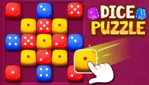 Dice Puzzle