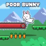 Poor bunny